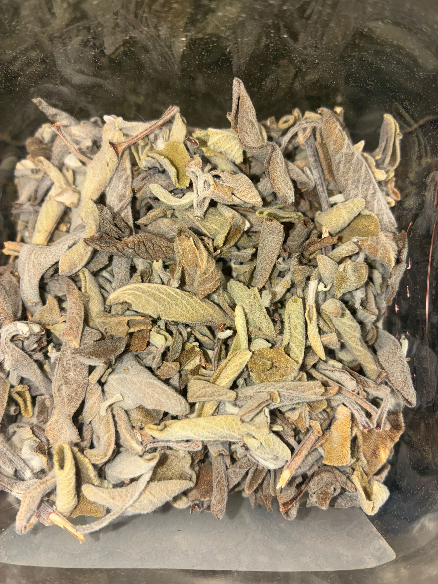 Ada Çayı - TrendTrove