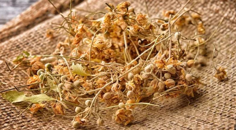 Ihlamur Çayı - TrendTrove