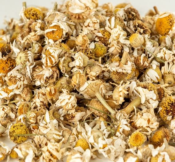 Papatya Çayı - TrendTrove